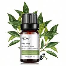 Aceite Esencial De Árbol De Té Antimicotico 100 % Natural - Fresco - Ver 2