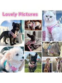 Pettorina per cani, in morbida rete traspirante, con imbottitura riflettente morbida, cinghia regolabile per il petto, adatta per gatti e cani di taglia piccola