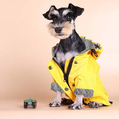 BONAPET 1pc Striped Pet Raincoat, Rainbow Striped