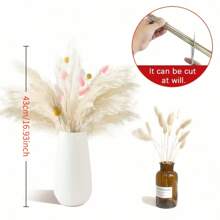 Juego de 46/59 piezas de valor, incluye hierba de cola de conejo, espadaña, carrizo común y bolas de billar secas. Tiene una decoración con estilo bohemio, adecuado para jarrones de boda, decoración de sala de estar, decoración de fiestas y decoración festiva.