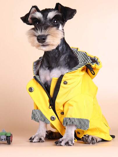 BONAPET 1 pieza chubasquero a rayas para mascotas, rayas arcoíris