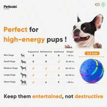 Petbobi Active Rolling Ball For Dogs Interactive Dog Ball With LED Flash Light, Include Self Moving Toys For Medium Large Dogs To Chase And Self Play, USB Rechargeable