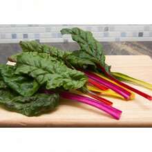 100 Rainbow Swiss Mangold Seeds