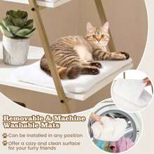 Lifezeal Large Cat Litter Box Enclosure 2-In-1 Hidden Cat Washroom Furniture With Storage - 白色 - 查看 9