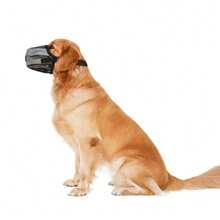 Nouvelle muselière de chien anti-morsure, anti-aboiement, anti-déglutition avec bande réfléchissante, fournitures pour animaux de compagnie réglables
