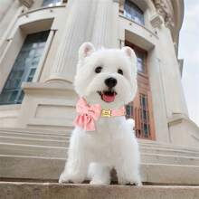1 pezzo Collare per cani in velluto a coste regolabile di colore rosa con fiocco grande, personalizzato con nome e targhetta telefonica, morbido e confortevole per cani piccoli/medi - adatto per passeggiate quotidiane ed eventi speciali, un'ottima idea regalo!