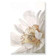 1 件伊斯兰帆布海报干草蒲公英墙壁海报米色花朵墙壁艺术画摩洛哥门印刷图片客厅装饰无框礼物生日毕业 - 彩色 - 查看 49