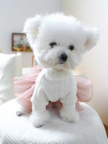 1 件宠物服装，可爱时尚狗/猫服装，适合小型犬和幼犬，舒适的 Anna 薄纱裙 - 彩色 - 查看 5