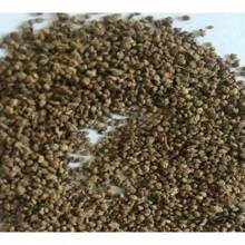 Recommend 50 PCs Hot Orange Habanero Pepper Seeds Capsicum Chinense Vegetable Seeds - Variant 1 - View 8