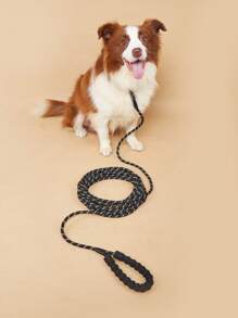 Extra Long Reflective Nylon Leash With Safety Lock Clip, Heavy Duty Design, Multiple Length & Color Options