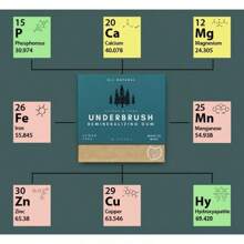 OFFICIAL Nathan & Sons UNDERBRUSH Remineralizing Chewing Gum With-Hydroxyapatite Teeth And Gum - 30 DAY SUPPLY - 肉桂乳香 - 查看 7