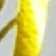Dorado