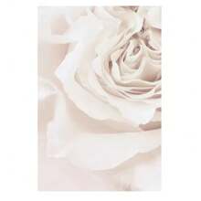 1 件伊斯兰帆布海报干草蒲公英墙壁海报米色花朵墙壁艺术画摩洛哥门印刷图片客厅装饰无框礼物生日毕业 - 彩色 - 查看 69