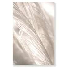 1 件伊斯兰帆布海报干草蒲公英墙壁海报米色花朵墙壁艺术画摩洛哥门印刷图片客厅装饰无框礼物生日毕业 - 彩色 - 查看 62