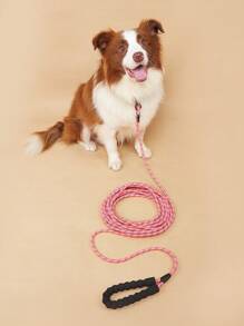 Reflective Nylon Dog Leash With Safety Locks, Long Extra Length Options, Variety Of Colors, Heavy Duty