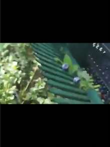 Portable Blueberry Picker - Battery-Free Fruit & Berry Harvester For Orchard And Garden - Multicolor - View 8