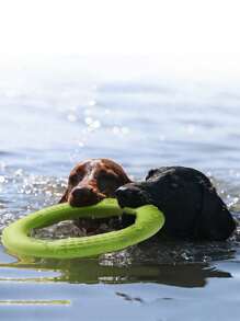 1pc Dog - An Interactive Toy For Training, Tug-Of-War, Chewing And Water Fun - Suitable For Outdoor Play, Can Be Used As Dog Toy, Training Ring, Sturdy And Chewable, Also Serves As Pet Retrieval Toy, Pet Floating Ring, Suitable For Training And Cleaning Teeth Of Medium And Large Dogs, Also A Dog Swimming Pool Floating Toy - Multicolor - View 8