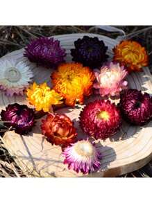 1 set van 5 stuks natuurlijke kaneel, anijs, citroen, chrysant, magnolia, goudsbloem, kumquat gedroogde bloemen voor geurverspreider, geschikt voor handgemaakte aromatherapiekaarsen, zepen, ambachtelijke decoratie