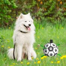 Dog Toy Ball Pet Ball Dog Training Soccer Ball Pet Toy Soccer Ball Needles Can Be Purchased Separately