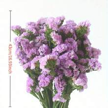 1,76 oz Ewiger Vergissmeinnicht-Blumenstrauß, getrocknet, helles und elegantes Blumendekor, tolles Geschenk für Freunde, Liebhaber, Eltern