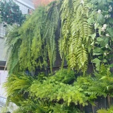 Artificial Shrubs