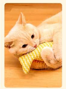 猫爱好者和猫妈妈喜欢的玩具猫爱好者和猫妈妈喜欢薄荷毛绒鱼抓棒咀嚼玩具，适合小猫和猫爱好者和猫妈妈喜欢，自娱自乐，缓解无聊