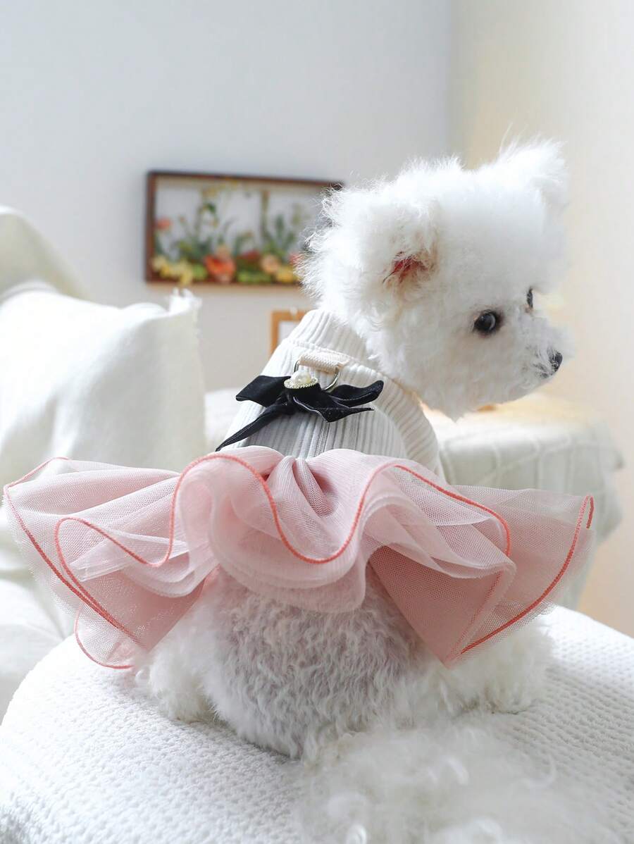 1 件宠物服装，可爱时尚狗/猫服装，适合小型犬和幼犬，舒适的 Anna 薄纱裙 - 彩色 - 查看 1