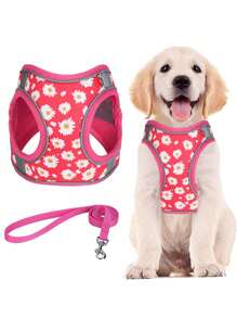 HP404--花卉印花宠物狗和猫背带，舒适的斜纹面料和透气网眼基材，1.5米狗绳。
