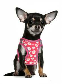 HP404--花卉印花宠物狗和猫背带，舒适的斜纹面料和透气网眼基材，1.5米狗绳。