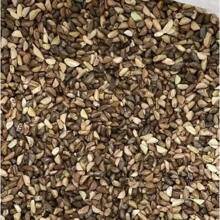 Celery Seeds For Planting , Non-GMO Vegetable - 1,000 Seeds Great For Outdoor Spring, Winter, And Fall Gardening Home Decor And Accessories - 500Pcs - View 3