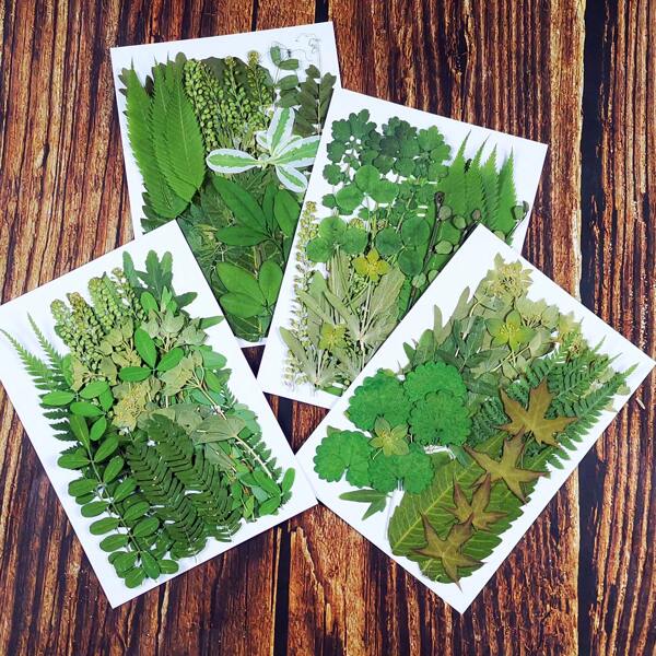 Un ensemble de 30 pièces de fleurs et feuilles séchées, convenant pour les dessous de verre DIY, l'artisanat, les accessoires photographiques, les décorations de fleurs pressées, les journaux, les cadres d'image, les coques de téléphone DIY, les décorations d'invitation et les journaux. Parfait pour les cadeaux pour la Saint-Valentin, Noël, etc.