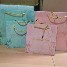 2 件装节日通用礼品包装袋、纸袋、购物手提袋 - 彩色 - 查看 4