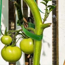 Set d'attaches de plantes de jardin, paquets de 2/5/10 bandes adhésives d'appui pour une croissance efficace, colliers de serrage réutilisables et réglables pour une manipulation sûre des plantes, 100 cm par rouleau