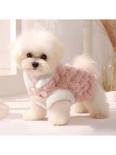 1pc Pet Outfit, Hooded Coat For Teddy, Pomeranian, Bichon Frise, Yorkshire Terrier, Schnauzer, Cats, 2023 New Winter Warm Jacket For Ragdoll, British Shorthair, Munchkin,Orange Cat, American Shorthair, Exotic Shorthair