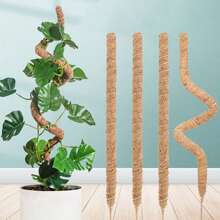2pcs 100cm Moss Pole For Monstera Creepers Climbing Indoor Plant Extension Support Stake Frame - Brown - View 8