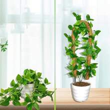 2pcs 100cm Moss Pole For Monstera Creepers Climbing Indoor Plant Extension Support Stake Frame - Brown - View 5