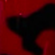 Rosa Roja