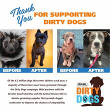 Champú de Avena para Perros/Mascotas Tan 821004-050 Champú Hidratante de Avena para el Cuidado de Perros para Piel Seca, Picosa y Sensible - 1 - Ver 8