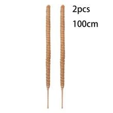 2pcs 100cm Moss Pole For Monstera Creepers Climbing Indoor Plant Extension Support Stake Frame - Brown - View 9