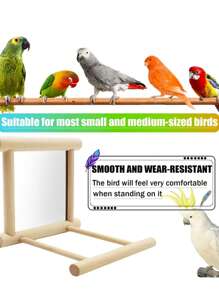 鸟镜鸟秋千、鹦鹉笼玩具、带镜子的悬挂秋千、鸟类互动玩具、鸟类游乐场鸟类游戏架、木制栖木健身围栏、金刚鹦鹉梯子、非洲灰鹦鹉、长尾小鹦鹉、凤头鹦鹉、玄凤鹦鹉、爱情鸟、金丝雀