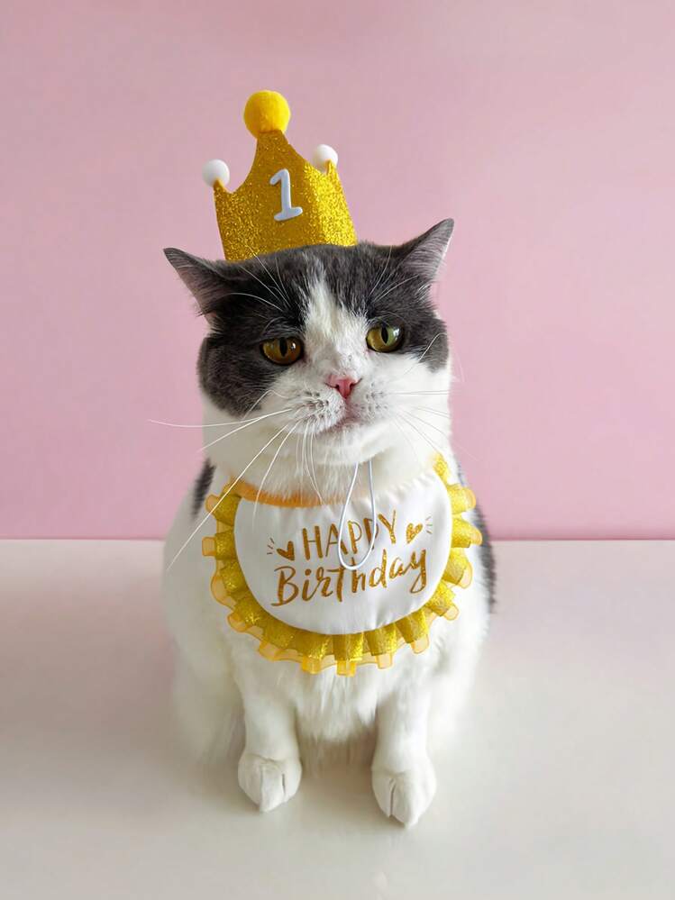 3 Stücke/Set Cartoon Haustier Geburtstags-Zubehör Set - Festliche Partydekorationen für Haustiere aus Gewebe, inklusive Krone, Sabberlatz und Nummer Aufkleber, geeignet für kleine bis mittlere Katzen und Hunde, ganzjährig verwendbar - ohne Batterie benötigt - Verschiedenfarbig - Übersicht 6