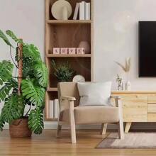 适合植物的高苔藓杆龟背竹 - 23.6/43.3 英寸可弯曲室内植物桩，适合攀爬植物的苔藓杆 - 彩色 - 查看 3