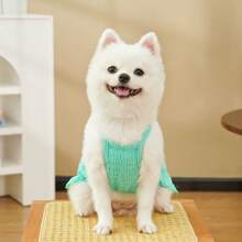 1 件狗和猫公主分层蛋糕薄纱连衣裙，适合贵宾犬、泰迪熊等小型犬种的可爱浪漫服装，适合春夏季