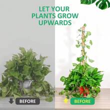 适合植物的高苔藓杆龟背竹 - 23.6/43.3 英寸可弯曲室内植物桩，适合攀爬植物的苔藓杆 - 彩色 - 查看 6