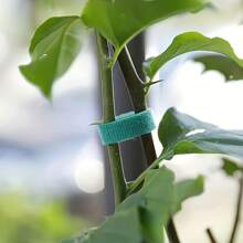 Set d'attaches de plantes de jardin, paquets de 2/5/10 bandes adhésives d'appui pour une croissance efficace, colliers de serrage réutilisables et réglables pour une manipulation sûre des plantes, 100 cm par rouleau