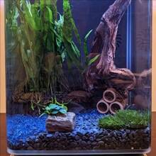 1 pezzo Tubo rifugio per pesci e gamberetti con 3 fori, tubo in argilla, mangiatoia per pesci e gamberetti, tubo acquacoltura, decorazione per acquario, tubo nascosto