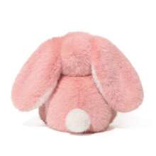 1 قطعة دمية أرنب من القماش المخملي المخصصة، دمية أرنب عيد الفصح المحشوة، يمكن تخصيص اسم الطفل، دمية أرنب من القماش المخملي الناعمة جدًا، هدية عيد ميلاد، متعددة الوظائف، قابلة لإعادة الاستخدام، ديكورية، راقية وأنيقة، جذابة، ملونة، ممتعة، قابلة للتخصيص، شخصية، فريدة من نوعها، هدية مثالية للمرأة، هدية مثالية للرجل، هدية عيد الزواج، هدية عيد الميلاد - متعدد الألوان - مشاهدة 5