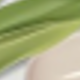 彩色