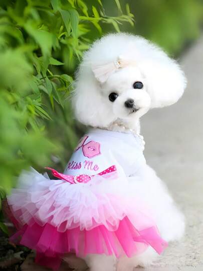 Cute Ballet Tutu Skirt Dress Suitable For Small To Medium Dogs - Heart & Lip Print, Soft Polyester Pet Clothing, Perfect For Parties & Special Occasions