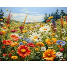 1/2 件现代 DIY 数字油画 山花 手绘帆布油画 DIY 工艺品 家居装饰 适合成人 40x50 厘米/16x20 英寸 无画框 - 彩色 - 查看 2